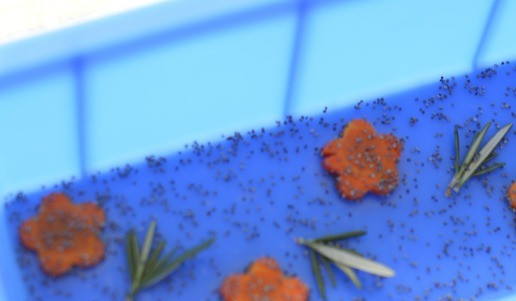 1. Этап. Заливное из кролика с маком: 3. В небольшом количестве бульона развести желатин, смешать с остальным бульоном. Из моркови можно сделать украшение. На дно силиконовой формы выложить цветочки из моркови, можно веточки зелени и посыпать немого маком. Влить немного бульона и убрать в холодильник.