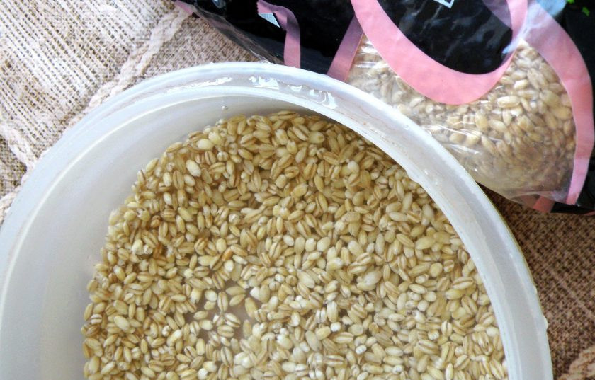 1. Этап. Свинина с перловкой по-домашнему: Перловку промойте и залейте холодной водой. Отварите до полуготовности, минут 20. Откиньте на сито и промойте от слизи. Я обычно сразу варю такой перловки много и замораживаю. Потом удобно добавлять в различные блюда.