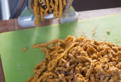 1. Этап. Пеммикан: Затем смешаем порошок из мяса и измельченные сухофрукты, еще раз пропустим все через мясорубку.