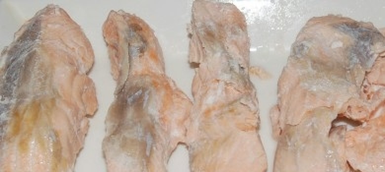 1. Этап. Семга отварная: Полностью остудите сёмгу в холодильнике.