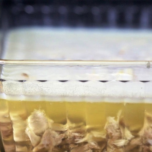 1. Этап. Студень: Когда студень застынет, на его поверхности образуется шапка из жира.