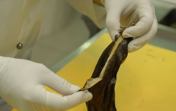 1. Этап. Салат из овощей гриль: С баклажаном делом то же самое.