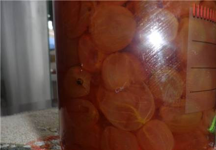 1. Этап. Варенье из крыжовника Царское: 5. После того, как весь сахар растворится и сироп перекипит, снимаем с огня. Лист достаем, а ягоды закладываем. Оставим на 5 часов настаиваться, а потом ставим опять вариться, увариваем до нужной вам густоты. Готово!