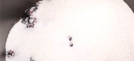 1. Этап. Варенье из черники в мультиварке: 3. Засыпаем сахаром и перемешиваем.