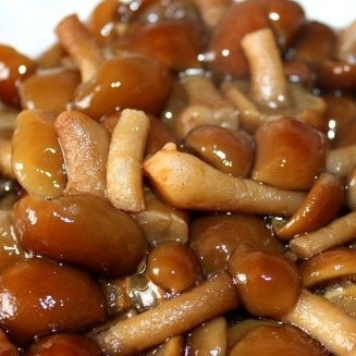 Маринованные опята в мультиварке