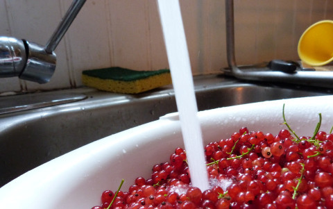 1. Этап. Варенье из красной смородины (желе): 2. Промойте ягоды как следует под проточной водой. Удалите по возможности веточки. Выложите смородину в кастрюлю и залейте водой так, чтобы она (вода) покрыла ягодки.