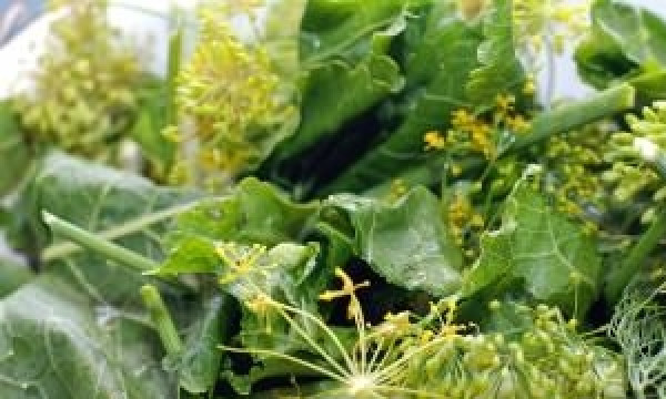 1. Этап. Маринованные огурцы без стерилизации: Подготовить зелень, чеснок, специи.