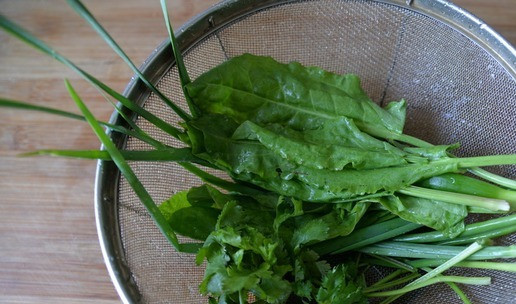 1. Этап. Салат Максимум пользы в одной тарелке: Берём зелень: щавель, зелёный лук, зелёный чеснок (у меня - дикий), кинзу. Всё тщательно промываем, обсушиваем.