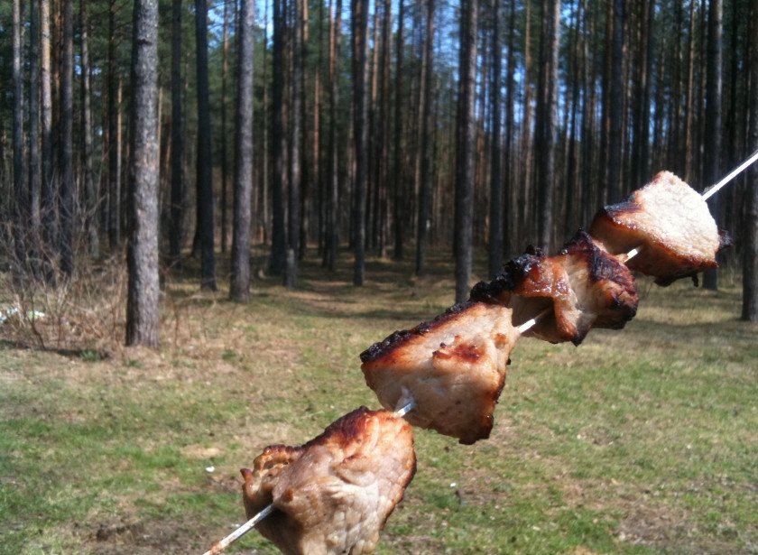 1. Этап. Куриный шашлык с уксусом и луком: Маринуем шашлык как минимум пару часов, после чего жарим над углями обычным способом.