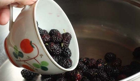 1. Этап. Варенье из шелковицы: 1. В кастрюлю отправьте вымытые и слегка обсушенные ягоды. Очень важно тщательно перебрать их, чтобы не попались плохие.