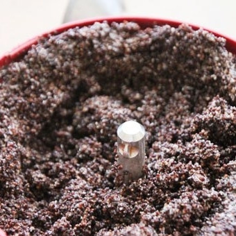 1. Этап. Петух с маковой начинкой: Разбухший мак растираем при помощи блендера или ступки.