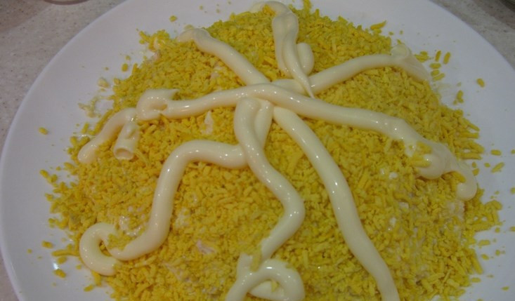 1. Этап. Салат Черепашка: Потом тертый сыр и желтки. Между ними и сверху - тоже майонез.