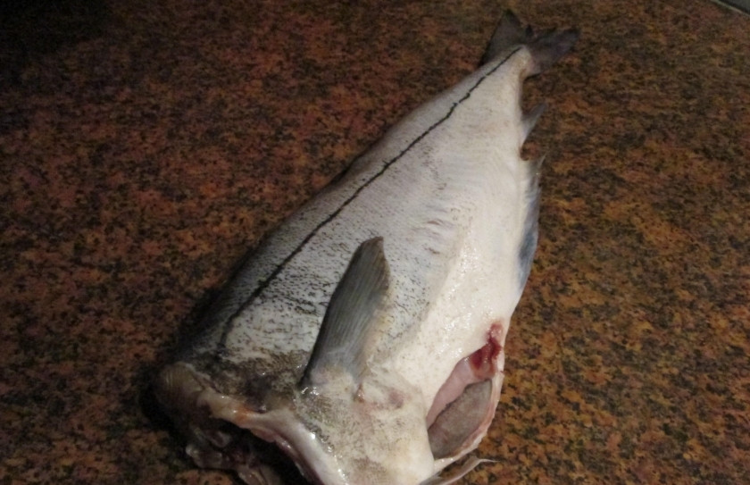 1. Этап. Котлеты из пикши: Чистим рыбу.