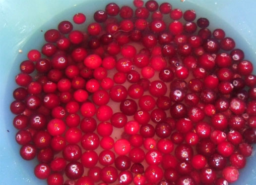 1. Этап. Желе из морса: Для начала нам необходимо промыть клюкву под холодной водой, выложить ее в кастрюли и залить 0,5 литрами воды. Ставим на огонь, а когда закипит, засыпаем сахар, перемешиваем и варим морс еще 15 минут.