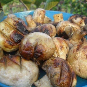 Шампиньоны гриль