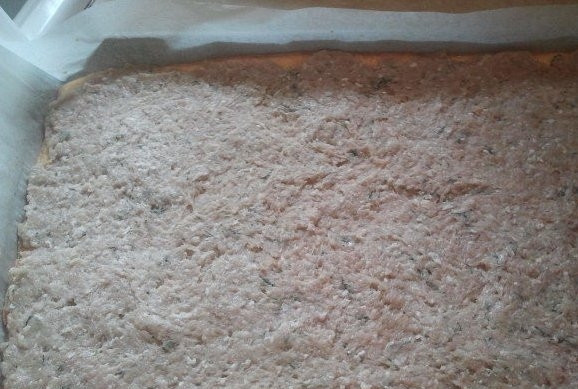 1. Этап. Рулет с куриным фаршем: 2. В куриный фарш добавьте яйцо и мелко порубленный лук. Посолите, поперчите, хорошо перемешайте. Размажьте фарш по омлету.