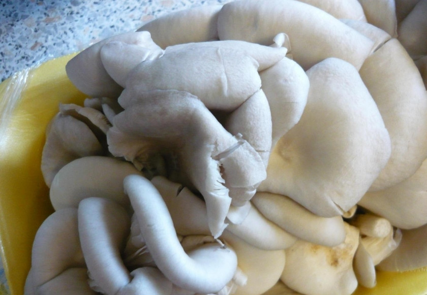 1. Этап. Грибы, жаренные с колбасой: 2. Вешенки достаю из упаковки и мою, откидываю на дуршлаг, чтобы ушла лишняя влага.