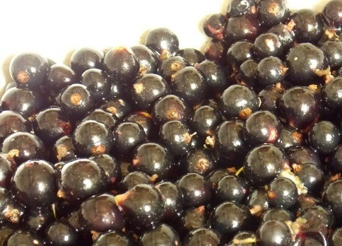 1. Этап. Желе из черной смородины на зиму: 1. Для начала переберем и промоем ягоды. Удалите плодоножки и затем просушите смородину. Желе будет ароматнее и гуще, если брать черную смородину обычного сорта, не гибридную. Банки помойте и простерилизуйте.