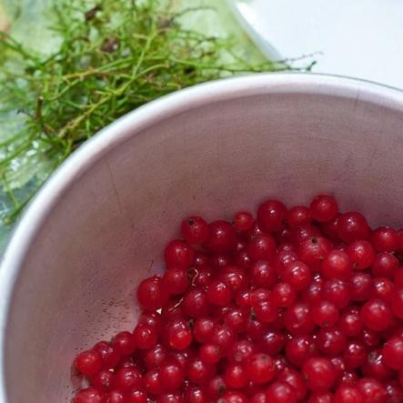 1. Этап. Торт из красной смородины: Выпекаем 30 минут при 180 градусах. А пока тесто выпекается, перебираем смородину - моем, очищаем от сора, листиков и кисточек.