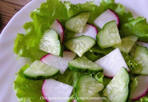 1. Этап. Салат Весенние краски: Огурец и редис нарежьте кружочками, выложите поверх листьев салата, присолите.