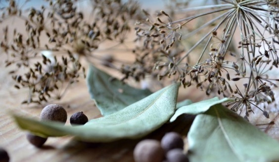 1. Этап. Ткемали: Добавьте к сливе перец горошком, зонтики, лавровый лист и воду.