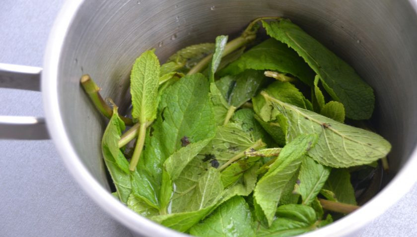1. Этап. Мятный зефир: Стебли мяты с добавлением примерно 1/3 части листиков залейте водой, нагрейте до закипания, накройте крышкой, дайте отвару настояться.