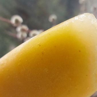 Смузи-сорбет с облепихой, тыквой и кабачком