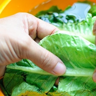 1. Этап. Салат Тако: 3. Порвите руками салат и выложите на тарелки.