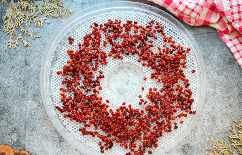 1. Этап. Сушеная рябина: Сушат красную смородину при температуре 65 градусов в течение 16-24 часов. Готовые ягоды при сжатии не должны окрашиваться желтым соком, что означает, что они еще не готовы. А так же не должны рассыпаться, что свидетельствует, что ягоды пересохли.