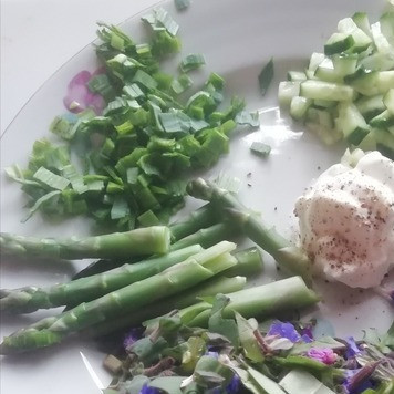 1. Этап. Салат Весна на Алтае: Нарезать медуницу, огурец, лук, спаржу и заправить на ваш вкус... Я сметаной сегодня заправила, домашний йогурт закончился (