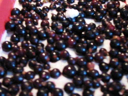 1. Этап. Творожная запеканка со смородиной: Половину творожной массы выложите в форму, на неё ягоды.