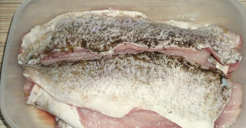 1. Этап. Рыбные котлеты из щуки с салом: 1. Вымойте филе щуки, затем вытрите насухо и нарежьте небольшими кусочками.