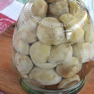 Белые маринованные грибы