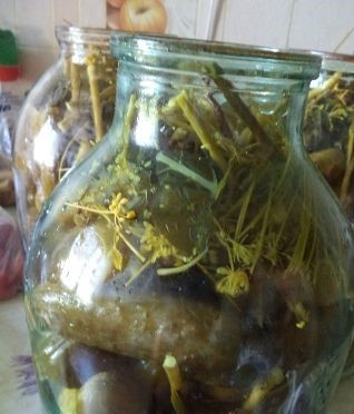 1. Этап. Соленые огурцы без уксуса на зиму: 3. Подготовьте банки для консервации: вымойте их с содой. Переберите продукты, удалите мягкие. Уложите огурцы и зелень в банку.