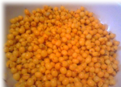 1. Этап. Варенье из облепихи без сахара: 1. Для начала промойте тщательно облепиху и высушите. Далее – подрежьте хвосты и поместите ягоды в кастрюлю или миску. Будет лучше, если ягоды немного растереть небольшими порциями.