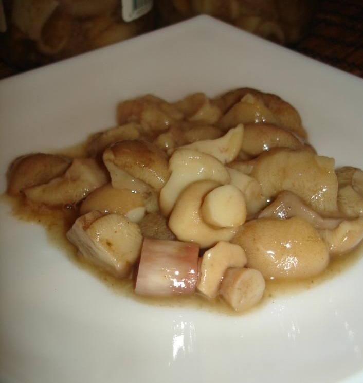 Маринованные маслята замороженные 1. Этап. Маринованные маслята замороженные: Перед подачей достаньте грибочки из маринада, выложите в тарелку и полейте сметаной или оливковым маслом, еще можно украсить зеленью. Приятного аппетита!