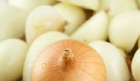 1. Этап. Аджика из помидоров на зиму: Чистим лук. Мелко шинкуем.