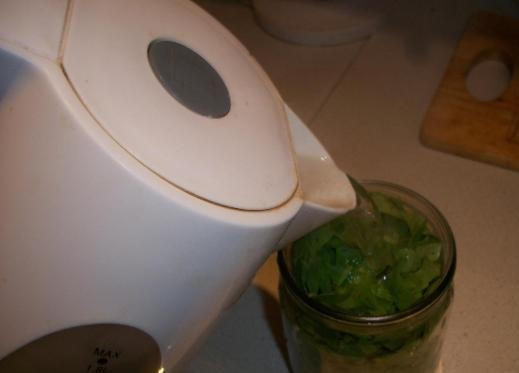 1. Этап. Щавель на зиму (консервация): Дальше заливаем щавель кипятком по самое горлышко банки горлышко, накрываем крышкой и закатываем. Переворачиваем банку, накрываем её полотенцем, и ждем, когда остынет. Как только остыла банка, убираем ее в холодильник или погреб.