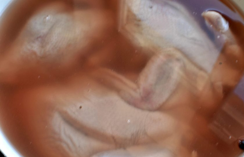 1. Этап. Цыплята «Аврора»: Цыплят промойте и разрубите вдоль по грудке. Разверните ножки в суставах и подверните крылышки к спинке. Кулаком слегка отбейте грудки, выравнивая толщину цыплят. Залейте цыплят рассолом-маринадом от домашних помидоров – кисло-сладким – и уберите на ночь в холодильник. За неимением рассола можно залить цыплят холодной водой с солью, сахаром и лимонным соком.