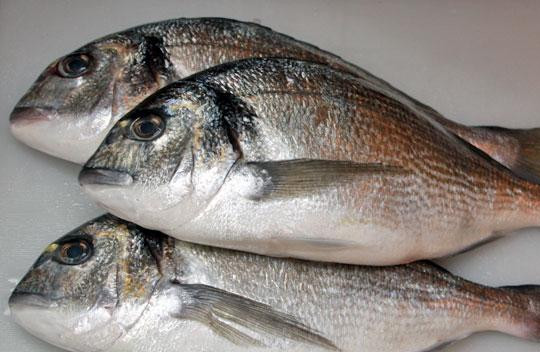 1. Этап. Дорада с овощами: Берем 3 дорады (из расчета 1 рыбка на 1 человека) среднего размера, моем, очищаем от плавников. Для этого, разумеется, лучше всего использовать острые ножницы, однако можно и ножом. Еще раз хорошенько моем рыбу, подчищаем чешую.